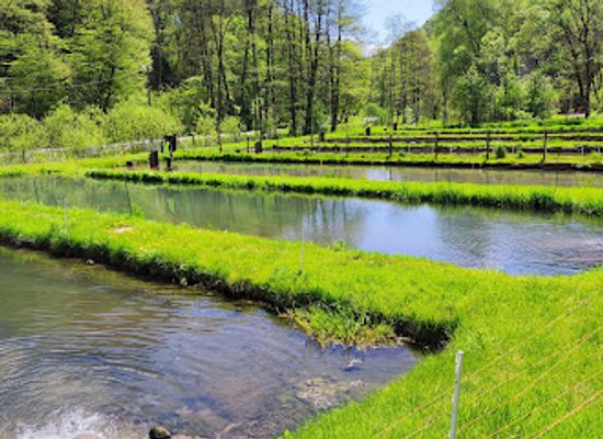 poland/silesia/landmark/ojcowski-national-park