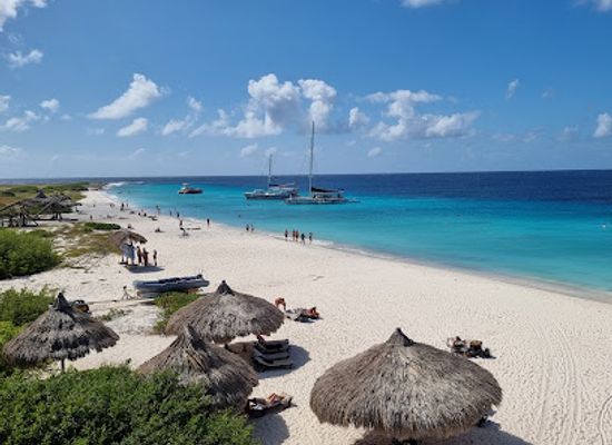 curacao/jan-thiel-beach/landmark/bluefinn-charters-curacao