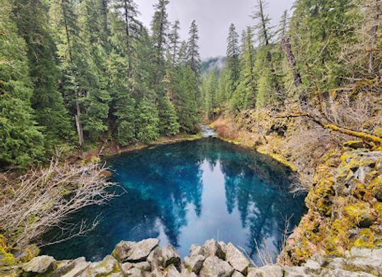 oregon/klamath-basin/landmark/tamolitch-falls-blue-pool