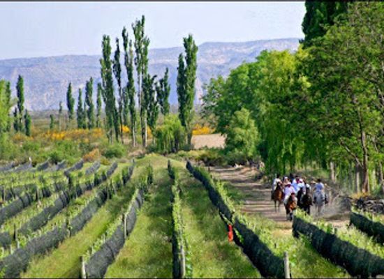 argentina/cuyo/landmark/algodon-wine-estates