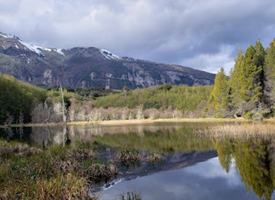chile/aysen-region/landmark/reserva-nacional-coyhaique