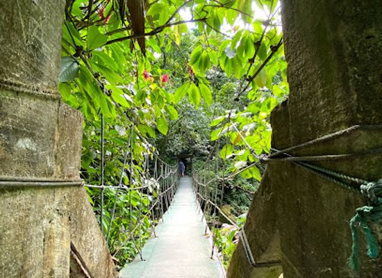 panama/el-valle-de-anton/landmark/canopy-adventure