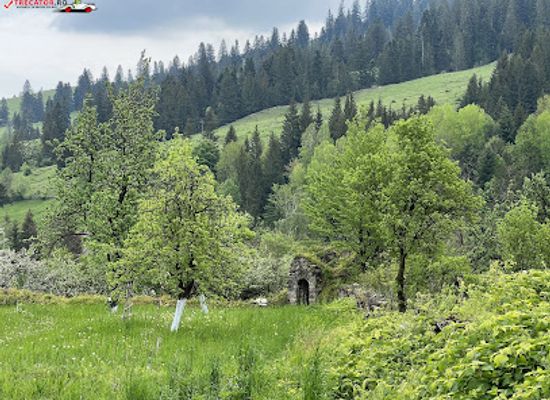 romania/ceahlau-national-park/landmark/palatul-cnejilor