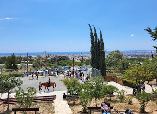 cyprus/limassol-district/landmark/limassol-national-forest-park