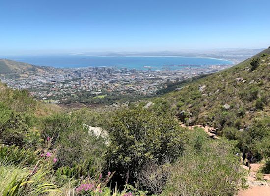 south-africa/overberg/landmark/tmp-hashtag-travel-marketplace
