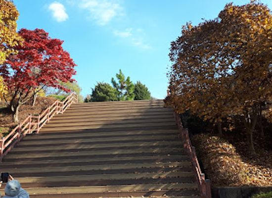 south-korea/daejeon/landmark/sajeong-park