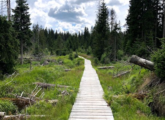 czechia/sumava-national-park/landmark/cikanska-slat