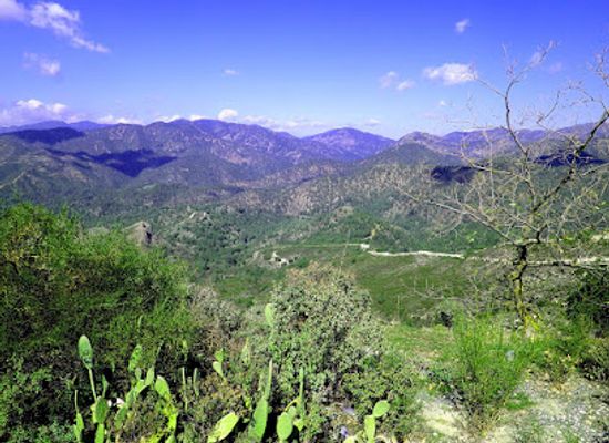 cyprus/paphos-forest/landmark/petra-tou-romiou-aphrodite-s-rock