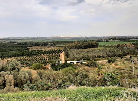 israel/ra-anana/landmark/restored-garbage-mountain
