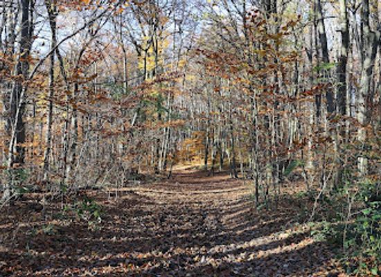 austria/vienna-woods/landmark/ottakringer-wald
