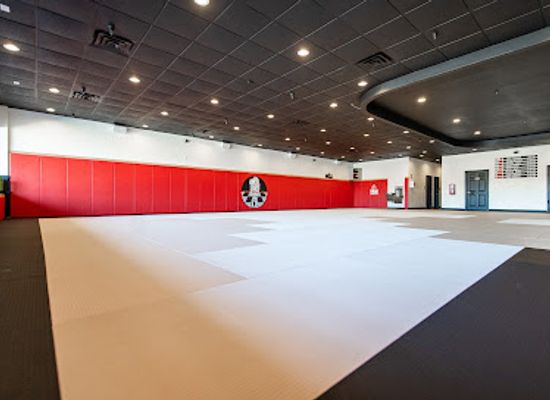 tennessee/smyrna/landmark/one-nation-jiu-jitsu