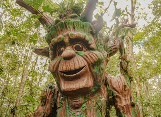 peru/loreto/landmark/centro-de-rescate-amazonico-amazon-rescue-center
