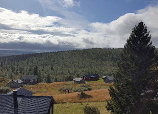 sweden/harjedalen/attraction/fallmoran