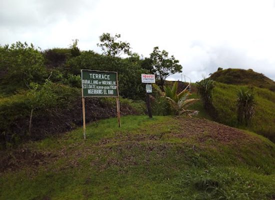 palau/babeldaob/landmark/aimeliik-terrace-oublallang-er-a-ngebedech