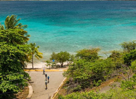 puerto-rico/culebra-island/landmark/beach-snorkel-culebra-snorkel-swim-with-turtles-in-culebra-island-puerto-rico
