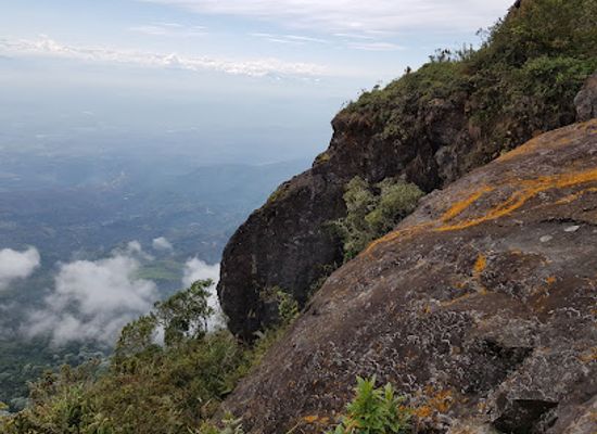 colombia/cauca-valley/landmark/cerro-pico-de-loro-o-de-oro
