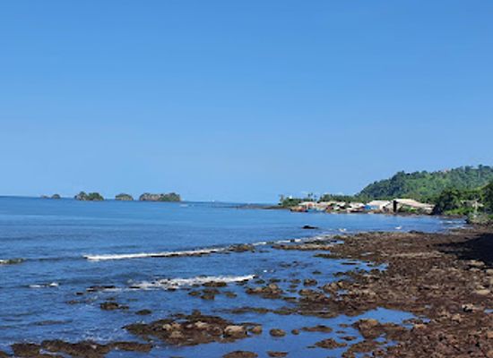 cameroon/limbe/landmark/limbe-wildlife-centre