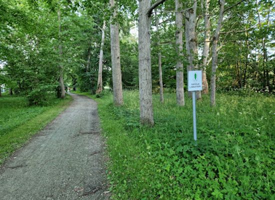 estonia/kärdla/landmark/kardla-city-park