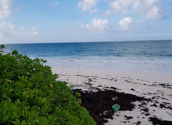 the-bahamas/eleuthera/landmark/pascal-s-oceanfront-restaurant-bar