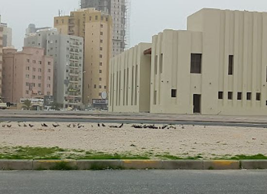kuwait/hawalli/landmark/park-block-1