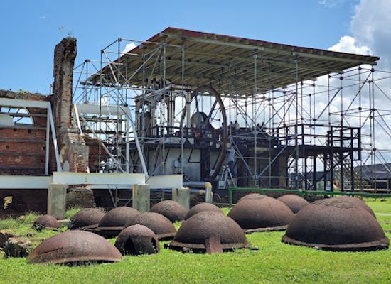 puerto-rico/manati/landmark/hacienda-la-esperanza-para-la-naturaleza