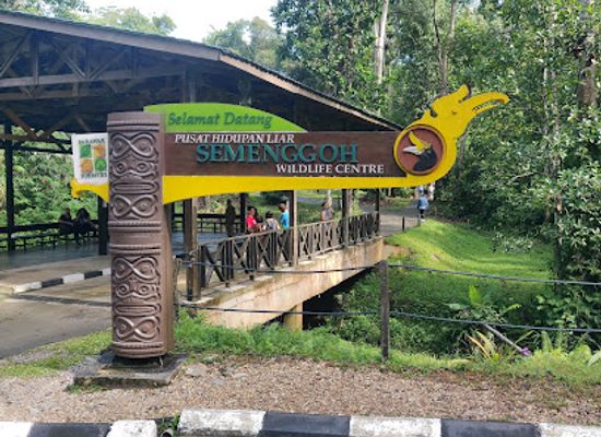 malaysia/east-malaysia/landmark/semenggoh-nature-reserve