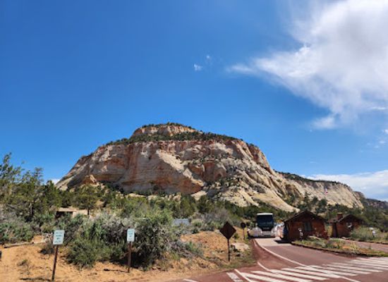 utah/zion-national-park/landmark/checkerboard-mesa-view-area