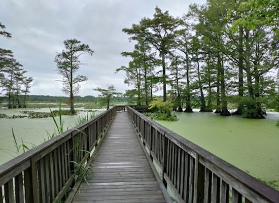 tennessee/reelfoot-lake-area/landmark/reelfoot-lake-wildlife-refuge-visitor-center
