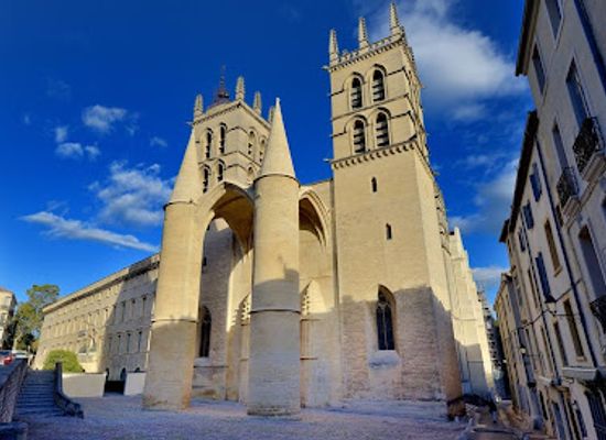 france/montpellier/historic-center/landmark/montpellier-cathedral