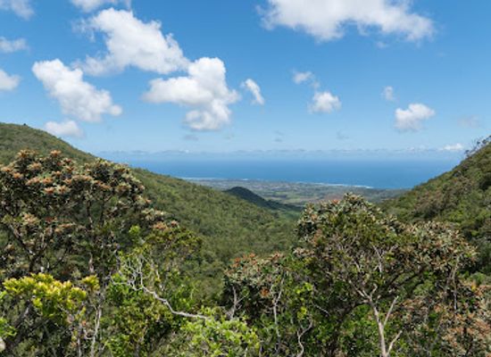 mauritius/black-river-gorges-national-park/landmark/ebony-forest-reserve-chamarel