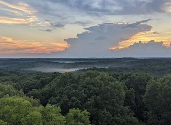 indiana/morgan-monroe-state-forest/landmark/martin-state-forest