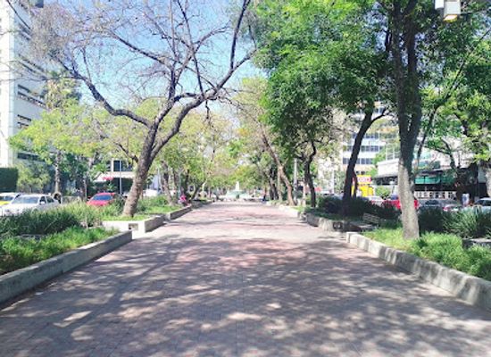 mexico/guadalajara/chapultepec/landmark/avenida-chapultepec