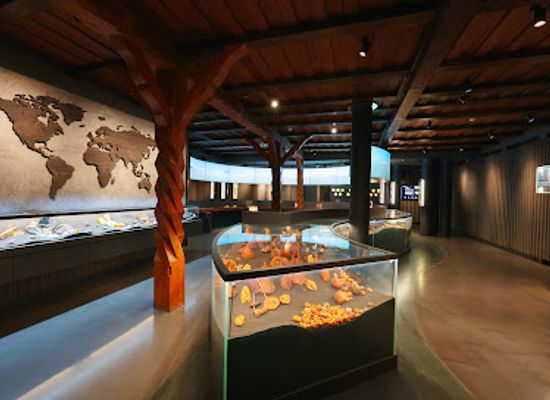lithuania/nida-beach/landmark/mizgiris-amber-museum