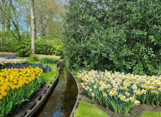 netherlands/keukenhof-gardens/landmark/labyrinth