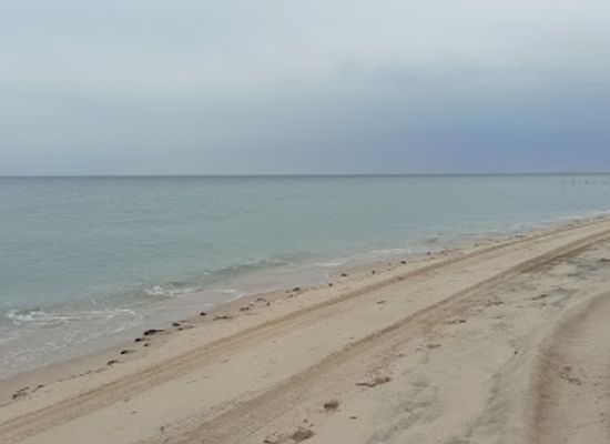 qatar/sealine-beach-resort/landmark/sealine-sand-dunes