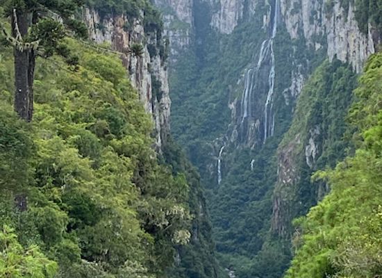 brazil/serra-gaucha/landmark/aparados-da-serra-national-park