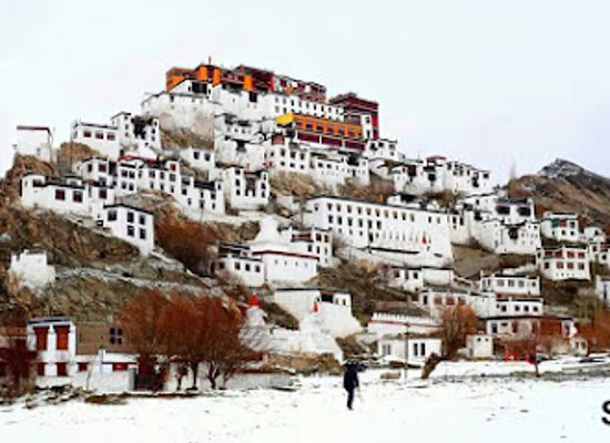 india/leh/landmark/wandering-wisdom-travel-company