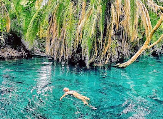 tanzania/kilimanjaro-region/landmark/kikuletwa-springs-maji-moto