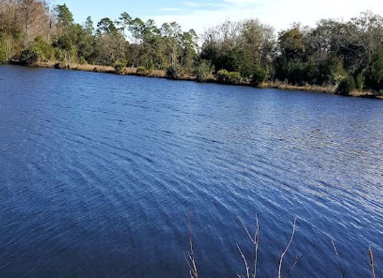 florida/big-bend/landmark/big-bend-wma