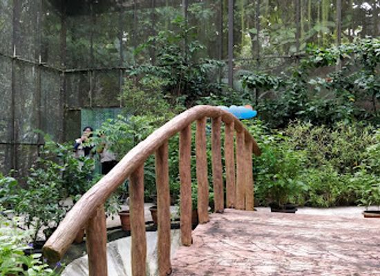 brunei/tasek-merimbun-heritage-park/landmark/taman-kulimambang-butterfly-garden
