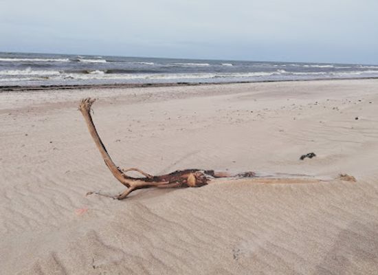latvia/pape-nature-reserve/landmark/pape