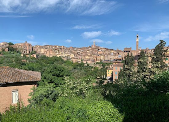 italy/siena/landmark/san-clemente-in-santa-maria-dei-servi