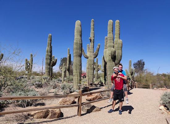 arizona/mesa/landmark/riparian-preserve-at-water-ranch