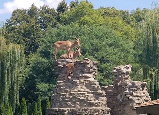 illinois/quad-cities/landmark/niabi-zoo