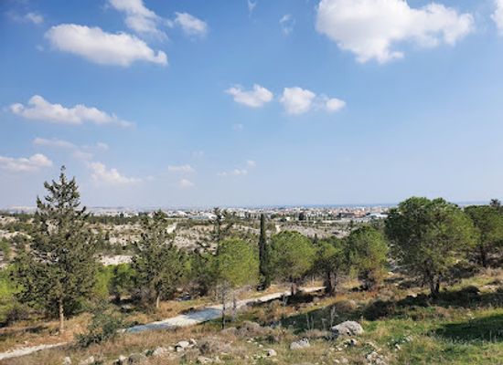 cyprus/troodos-national-forest-park/landmark/rizoelia-forrest-picnic-area