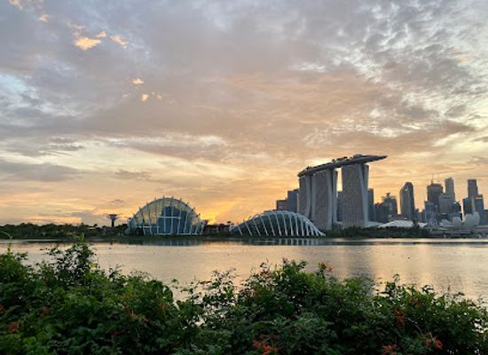 singapore/central-business-district/landmark/gardens-by-the-bay-east-panoramic-view