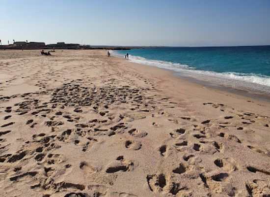 oman/ras-al-jinz/landmark/ras-al-hadd-beach