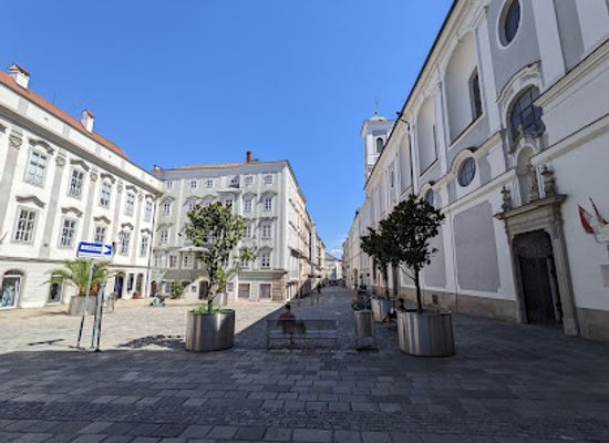 austria/upper-austria/landmark/mozarthaus