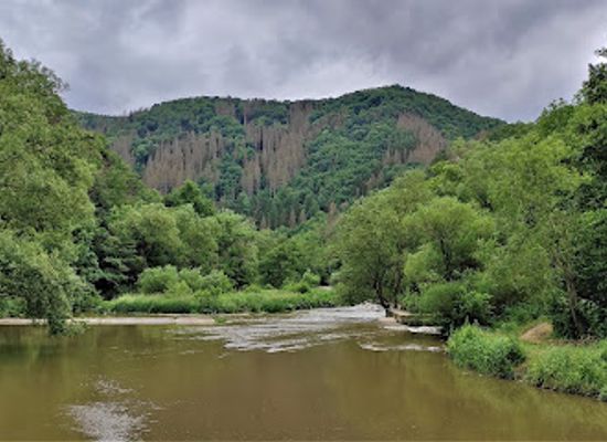 germany/eifel/landmark/langfigtal-nature-reserve