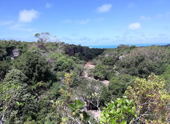 mauritius/rodrigues/landmark/jardin-des-cinq-sens
